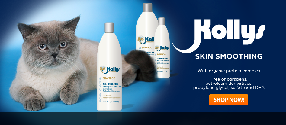 <div class="bann2">Banner2</div> <span>for slider</span>